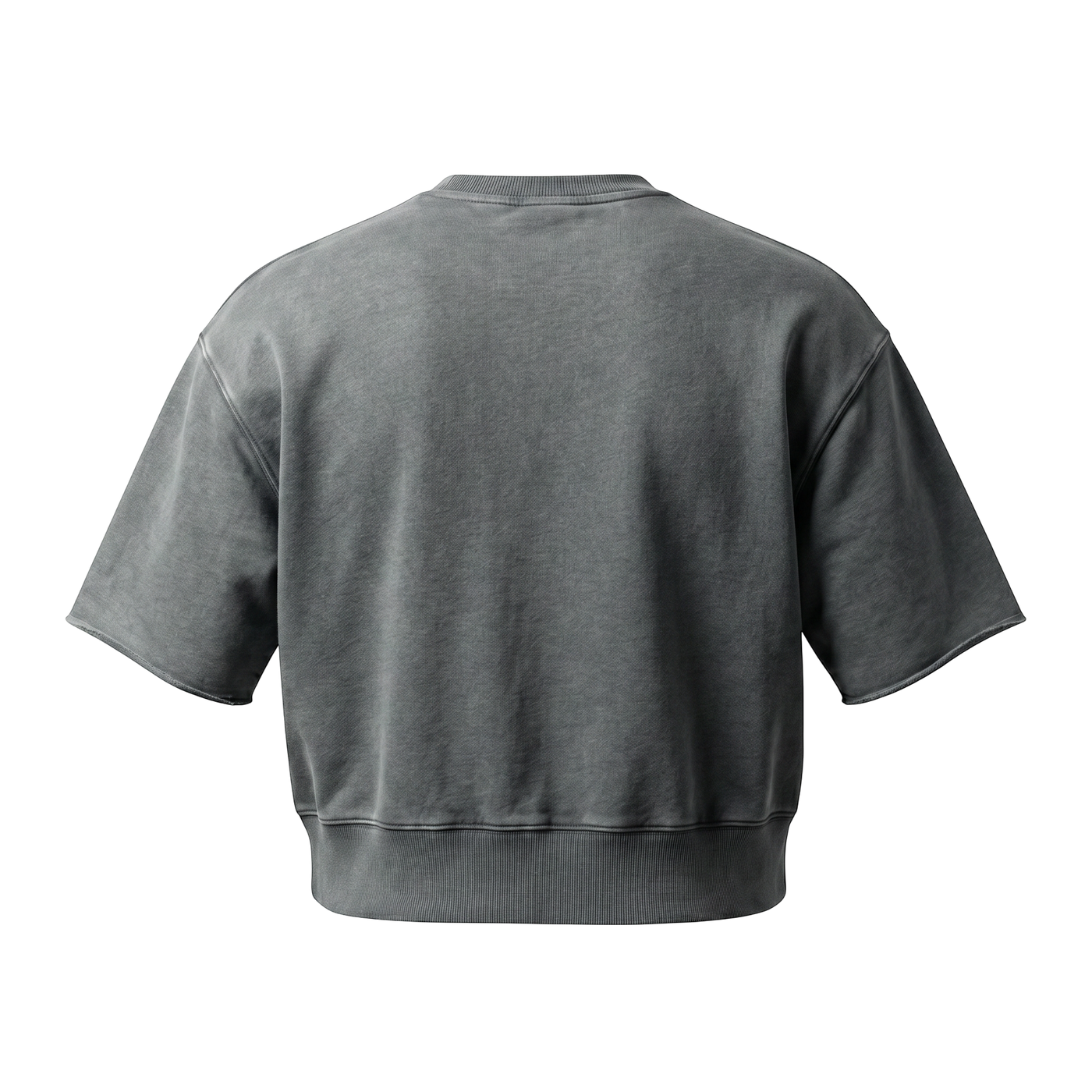 NILO Master Heavyweight oversized charcoal grey cotton t-shirt, back view with structured fit and ribbed hem.